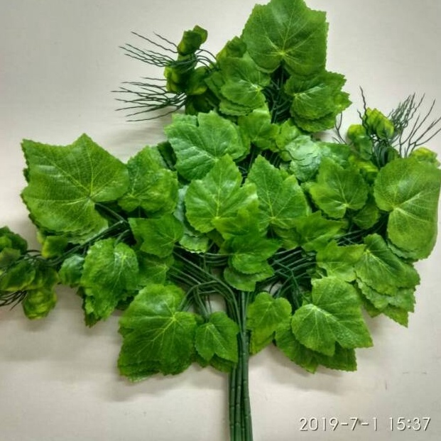 Jual Kemasan Baru Daun Anggur Hijau Muda Ukuran Besar Daun Anggur