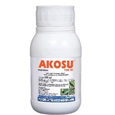 Jual Insektisida / AKOSU 100 SC 250 ML / Mengendalikan Hama Thrip ...