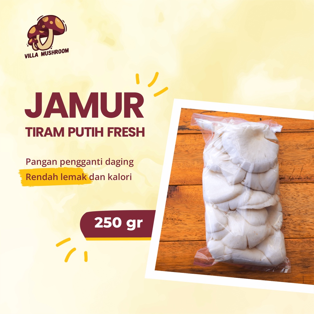 Jual Jamur Tiram Putih Fresh 250 Gr Shopee Indonesia 1984