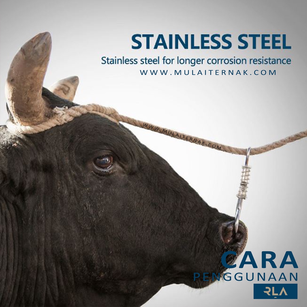 Jual Anting Hidung Sapi Tanpa Tindik - Nose Bull Ring - Kerbau - Keluh ...