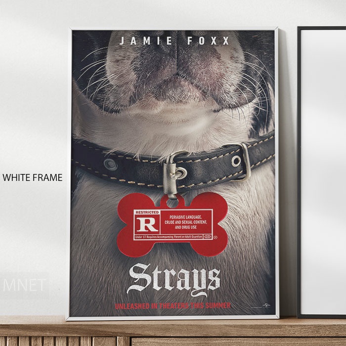 Jual Poster Film Strays Ver2 2023 Bingkai Foto Minimalis | Shopee Indonesia