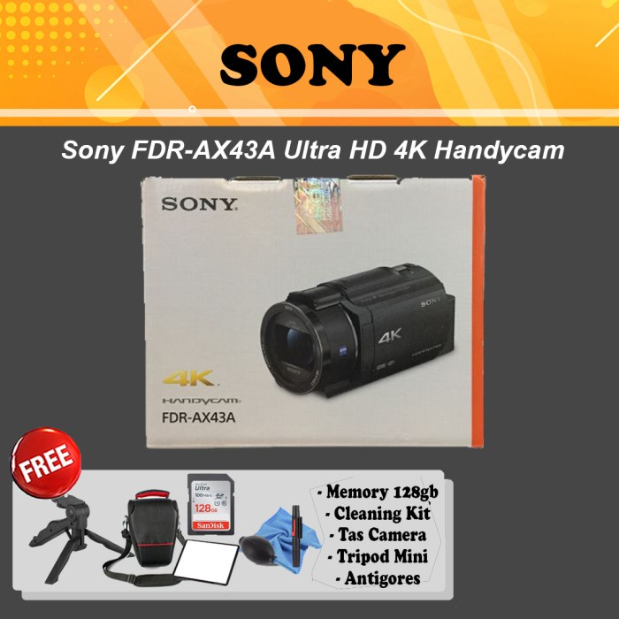 Jual Camco Sony Fdr-Ax43A Ultra Hd 4K Camcorder Handycam Uhd Ax 43A ...