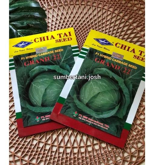 Jual Promo Surprise Benih Kubis Kol Hibrida F1 GRAND 22 BISI - 15Gram ...