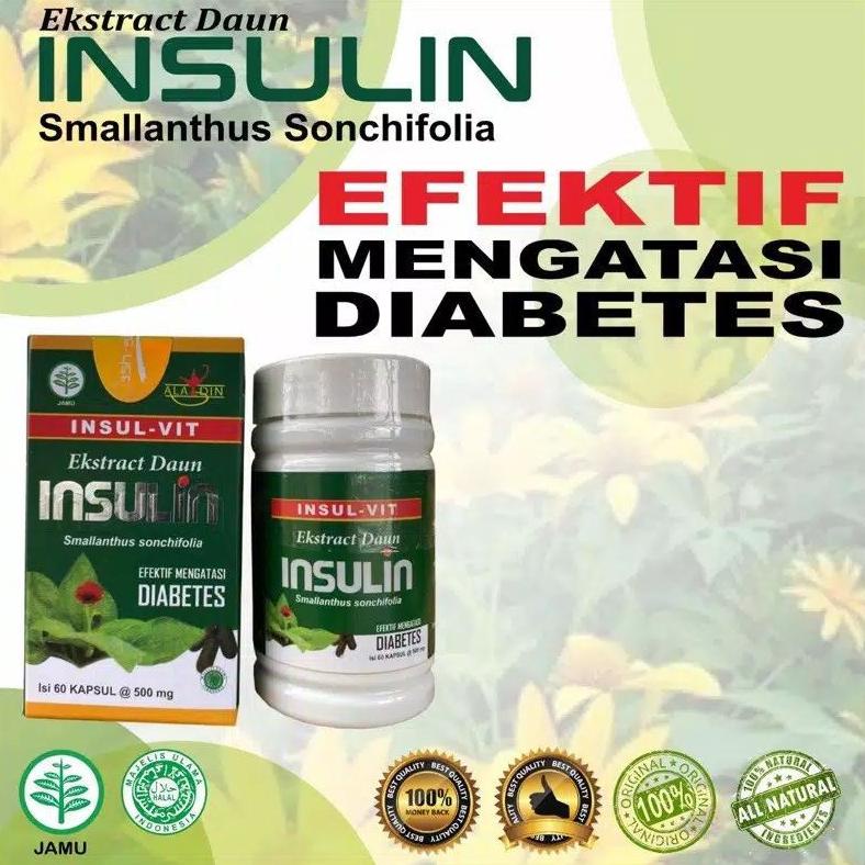 Jual New Kapsul Ekstrak Daun Insulin Insul Vit Ash Shihhah Efektif