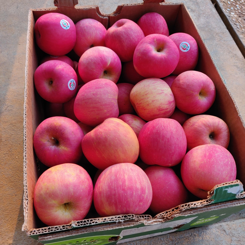 Jual Apple / Buah Apel Fuji RRC Import Manis Garing 1kg | Shopee Indonesia