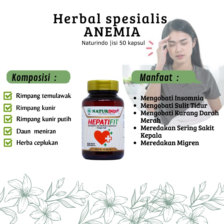 Jual Obat Anemia Penambah Hb Darah Herbal Solusi Untuk Mudah Lelah ...
