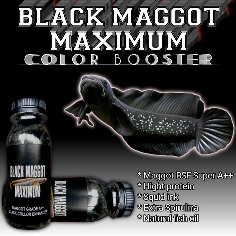Jual Maggot Terlengkap & Harga Terbaru Agustus 2026 | Shopee Indonesia