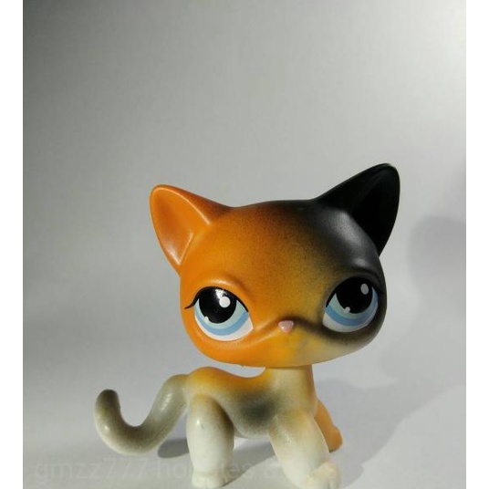Figurine My Littlest Pet Shop LPS Hasbro – Chat Angora Poils Longs N°20 – Occasion