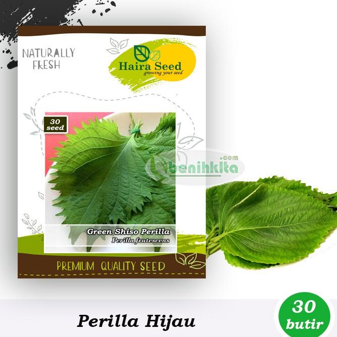 Jual Belanja Benih-Bibit Shiso Perilla Green (Haira Seed) | Shopee ...