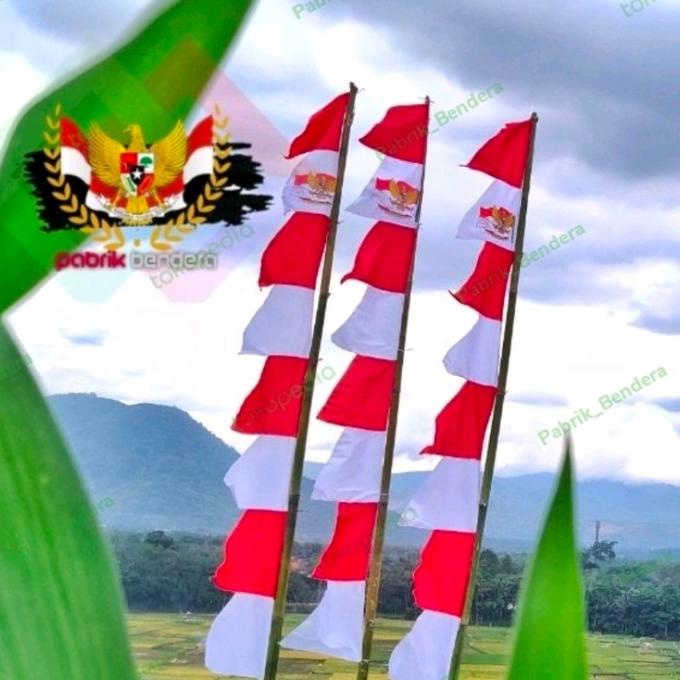Jual Bendera Umbul Umbul Merah Putih Gergaji Shopee Indonesia