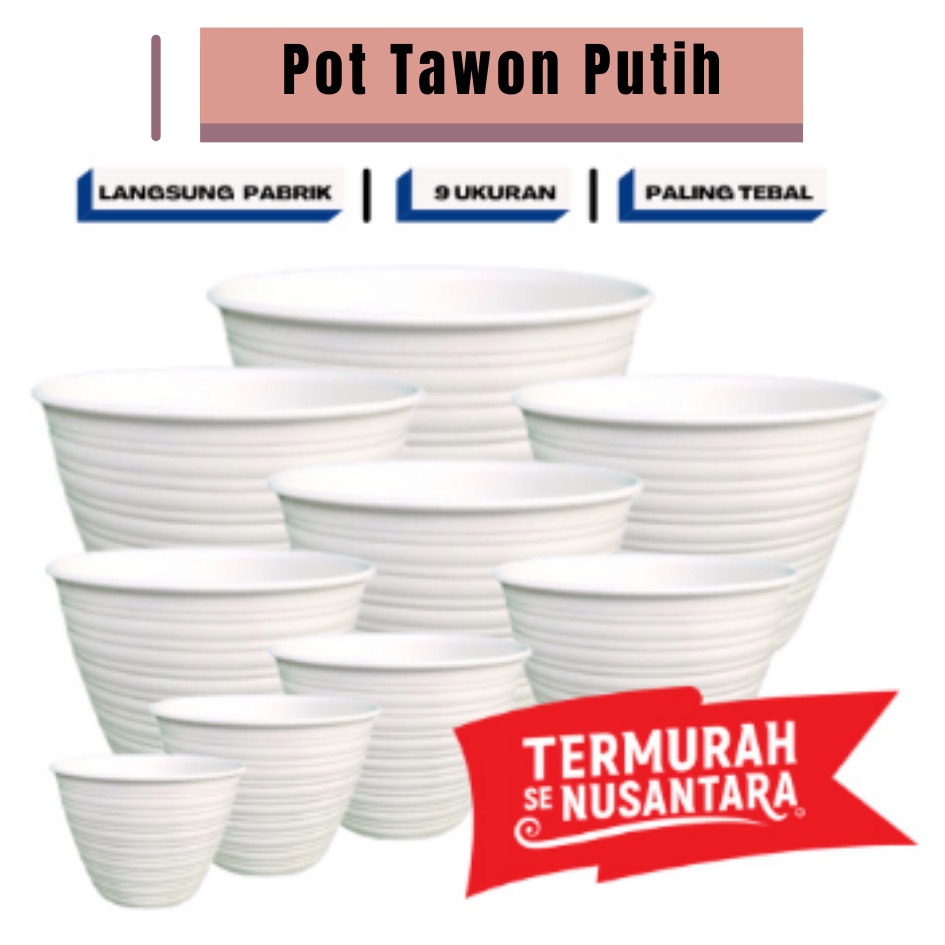 Jual Pot Tawon Putih Ukuran Mdn Super Tawon