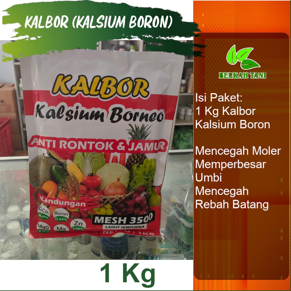 Jual Kalbor 1 Kg Pupuk Kalsium Boron Pencegah Rontok Bunga Dan Buah ...