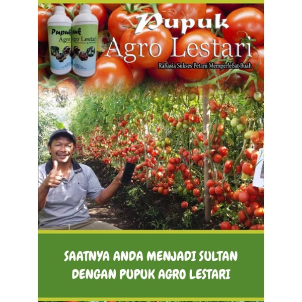 Jual Pupuk Pelebat Buah Pupuk Cair Organik Terbaik Untuk Semua Jenis Tanaman Buah Dan Sayuran