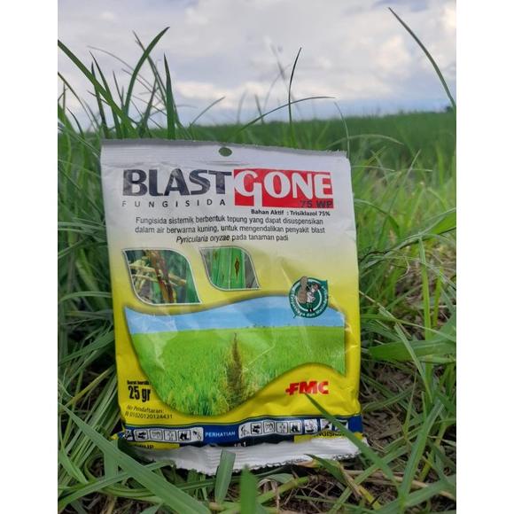 Jual Fungisida Blastgone 75wp Blasgone Kemasan 25gr Blast Gone Blas