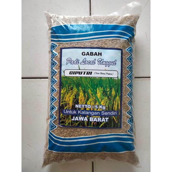 Jual Benih Bibit Padi Ciputri Ciherang Malay Panjang Kemasan 5kg