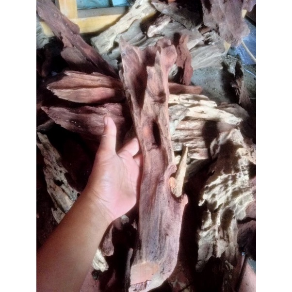 Jual Kayu Rentek | Shopee Indonesia