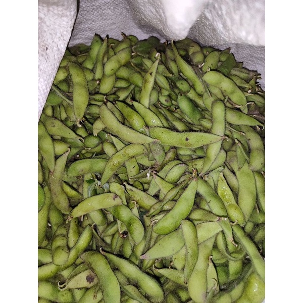 Jual Edamame segar kedelai edamame kacang kedelai jepang khasiat untuk