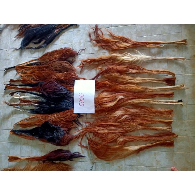 Jual BACA DESKRIPSI Rambut Ekor/Gubat/Buntut Sapi Sedang (tanpa garam ...