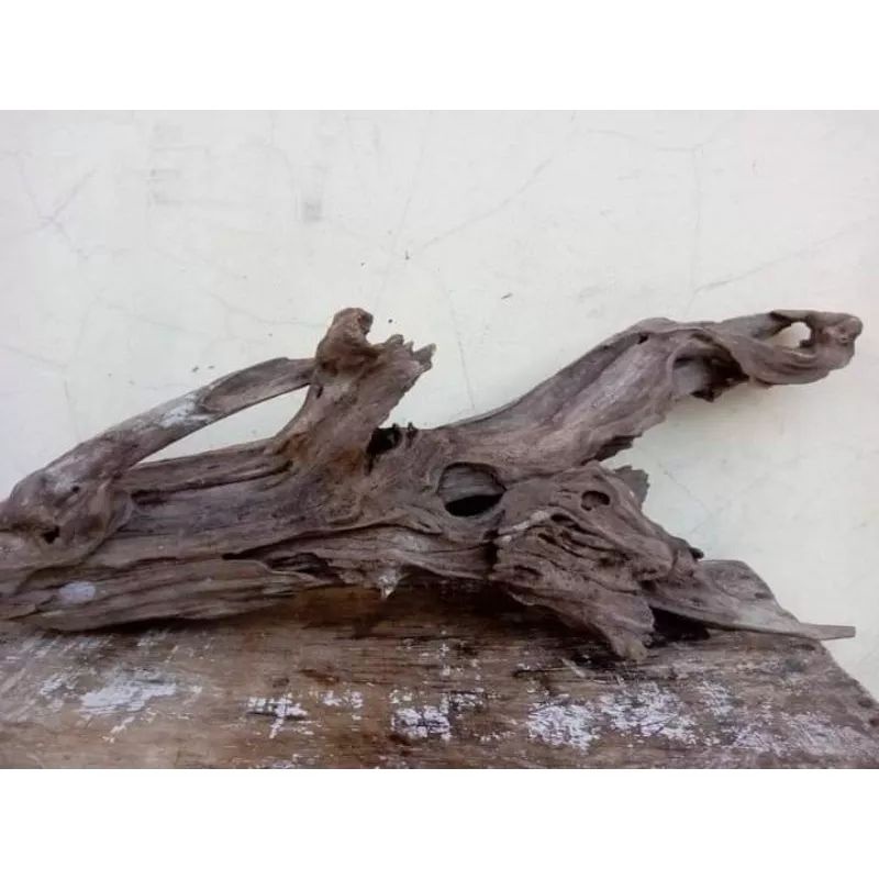 Jual KAYU RENTEK&AKAR RASAMALA aquascape | Shopee Indonesia
