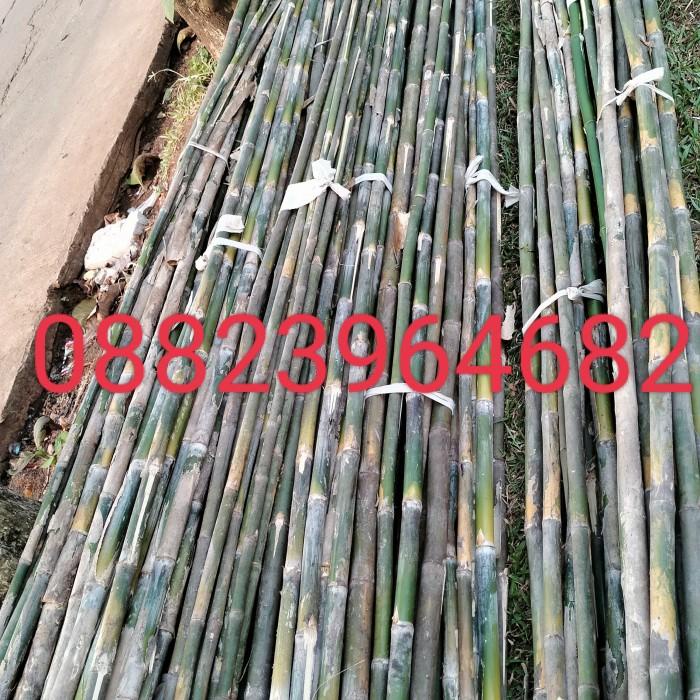 Jual Bambu Tiang Bendera Umbul Umbul Paketan Isi 30 Batang | Shopee ...