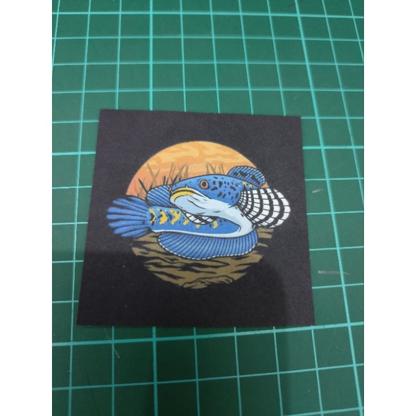 Jual Sticker Ikan Channa | Shopee Indonesia