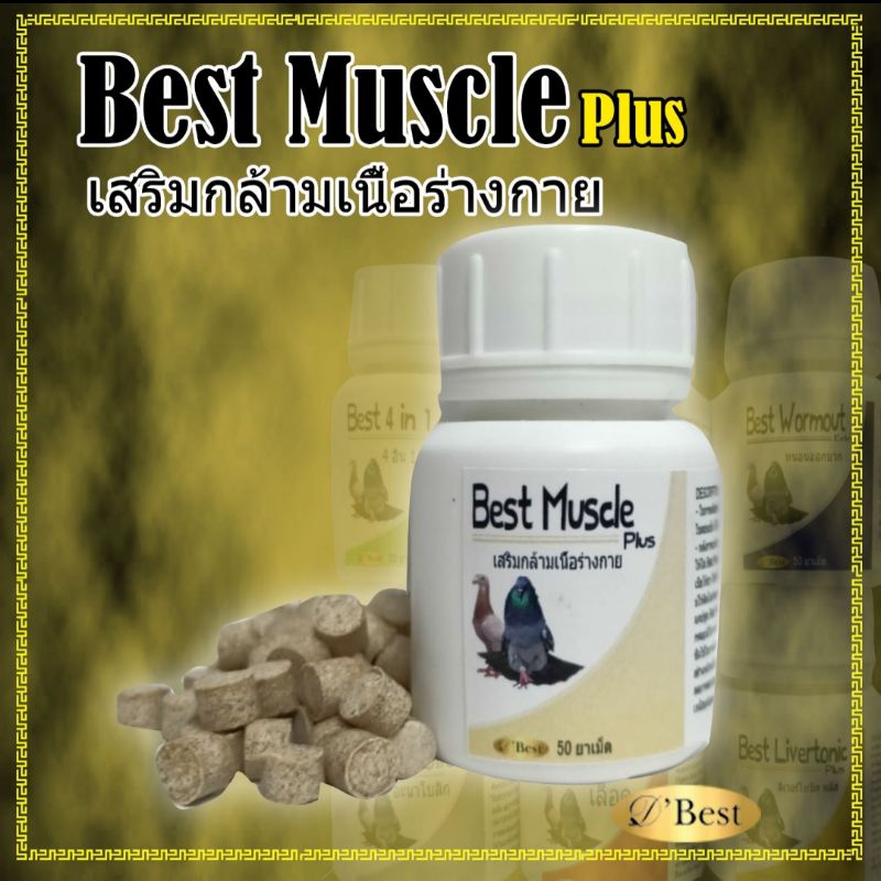Jual BEST MUSCLE PLUS VITAMIN SUPLEMEN PEMBENTUKAN MEMPERKUAT OTOT ...