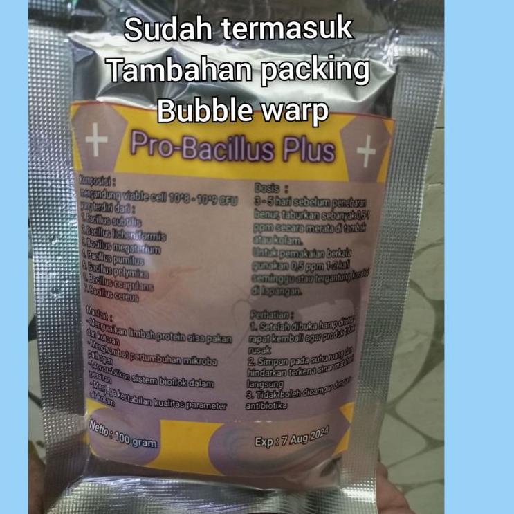 Jual Promo Besar Probiotik Bacillus Plus 100 Gram / Probiotik Kolam ...