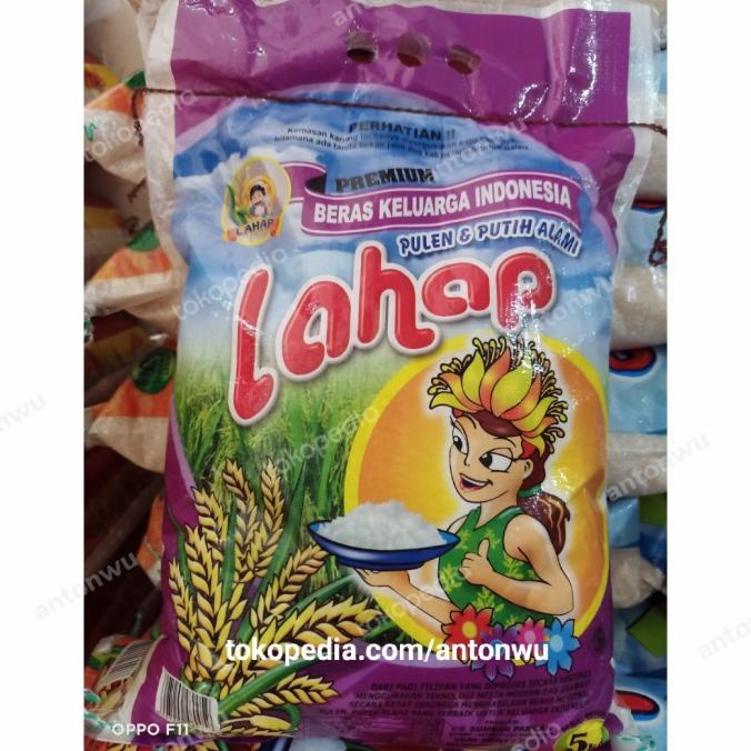 Jual Beras Lahap Wanita Premium Kemasan 5kg Murah | Shopee Indonesia