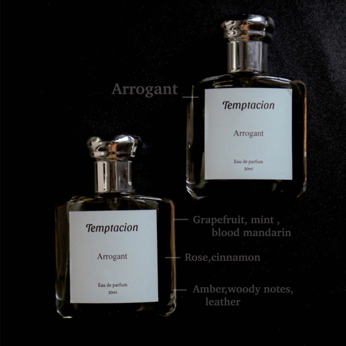 Jual Terlaris Temptacion Arrogant Edp 30Ml Unisex | Shopee Indonesia