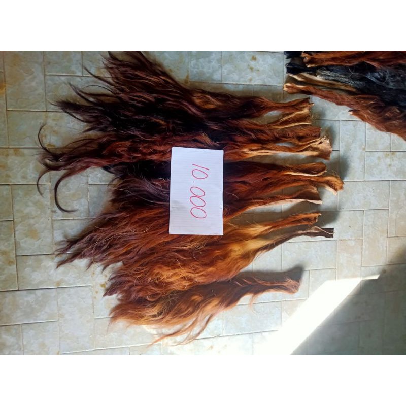 Jual BACA DESKRIPSI Rambut Ekor/Gubat/Buntut Sapi Kering Superan tanpa ...
