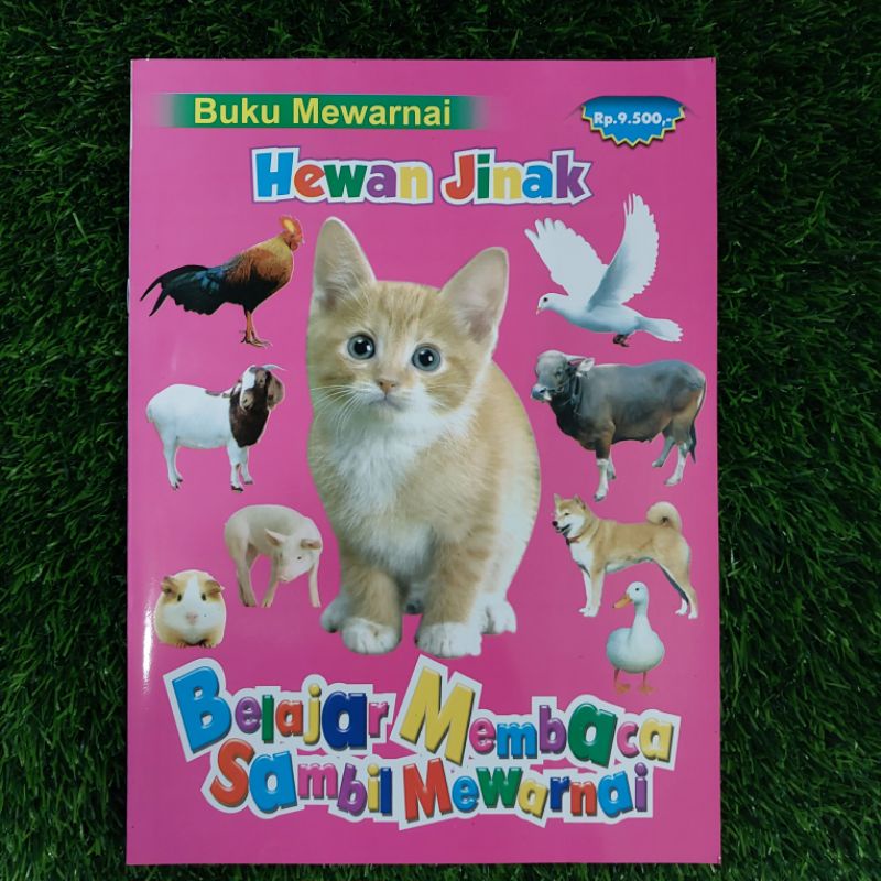 Jual Buku Mewarnai Jumbo , Mewarnai Sambil Belajar Menulis Dan Membaca ...