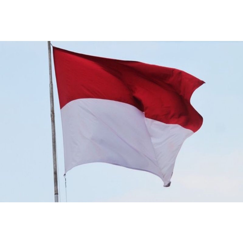 Jual BENDERA MERAH PUTIH TEBAL BAHAN KATUN Shopee Indonesia