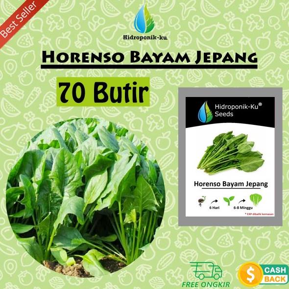 Jual Benih Bayam Jepang Horenso / Poling- Alrite 70 Butir - Hidroponik ...