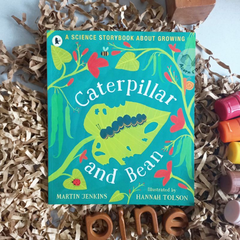 Jual Caterpillar and bean - A Science Storybook about Growing series ...