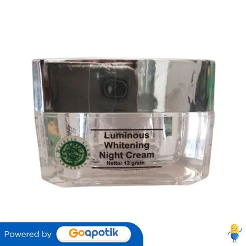 Jual Ms Glow Luminous Whitening Night Cream Pot Gram Shopee Indonesia