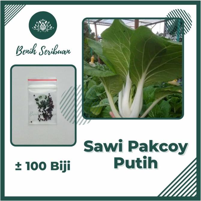 Jual 100 Bibit Sawi Pakcoy Batang Putih Benih Sayuran Pak Choy White