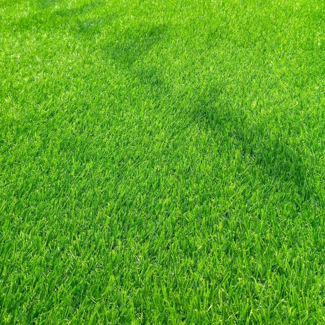 Jual Rumput Sintetis Dekorasi Tipe Swiss 3Cm/Harga Per Meter | Shopee ...