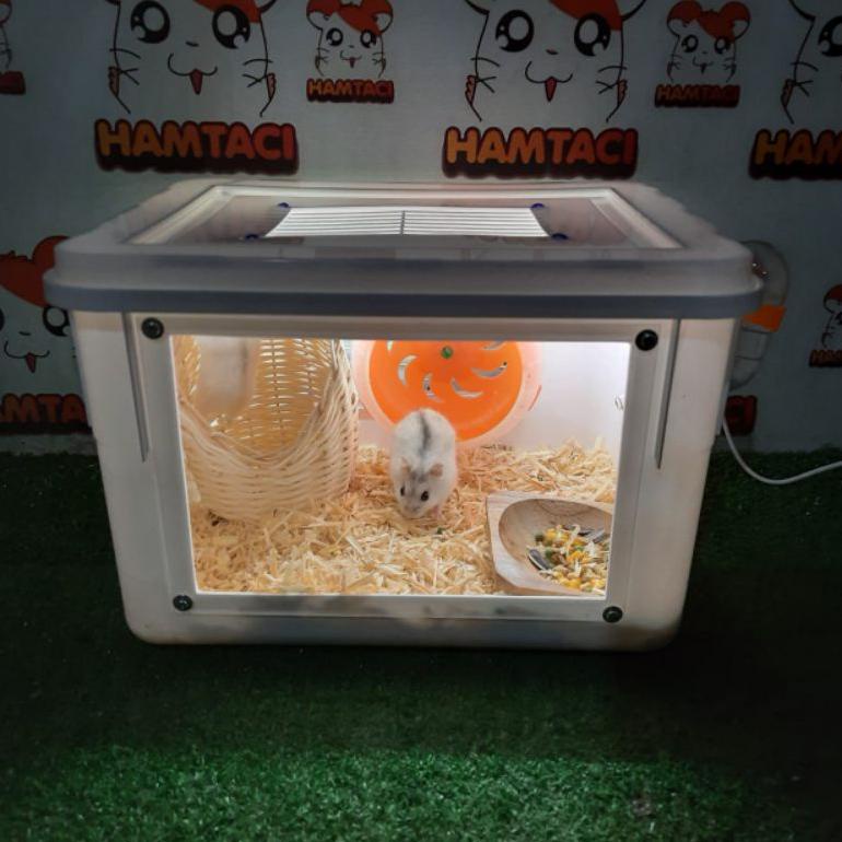 Jual Promo KANDANG HAMSTER LED USB HAMSTER/REPTILE/GERBIL/PETS KOTAK