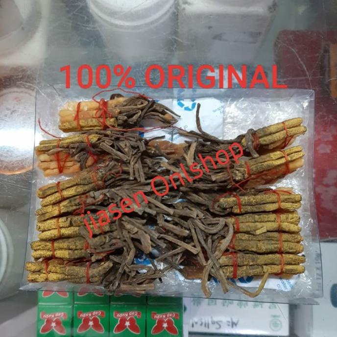 Jual Cordyceps Ulat Salju Jamur Ulat Salju Per Ikat Shopee