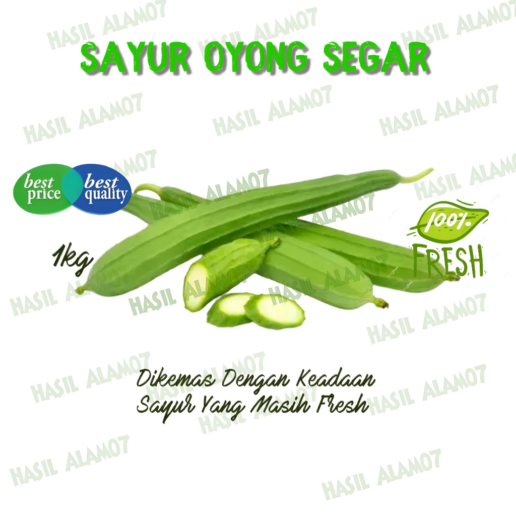 Jual Sayur Oyong Gambas Segar 1kg Shopee Indonesia