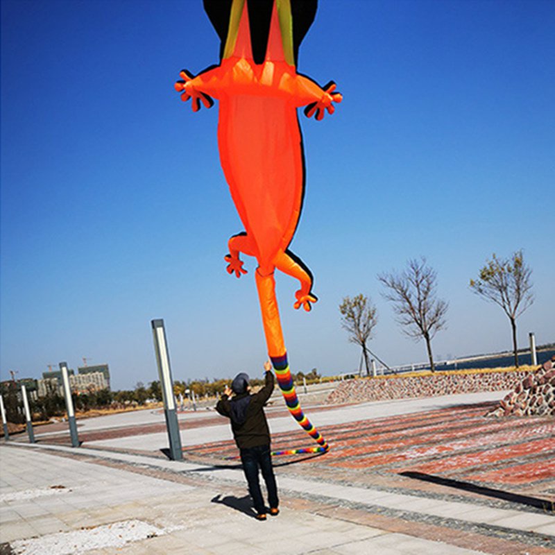 Jual 12m New Lizard Gecko Kite Soft Inflatable Kite Color Animal Kite ...