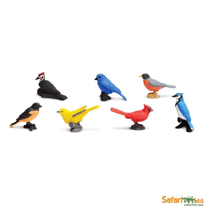 Jual Promo!!! Safari Ltd - The Backyard Birds Toobs Terlaris | Shopee ...