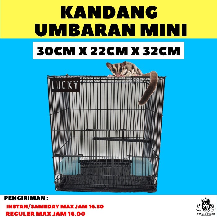 Jual Kandang Umbaran Mini Size S Kandang Sugar Glider Kandang Burung Shopee Indonesia