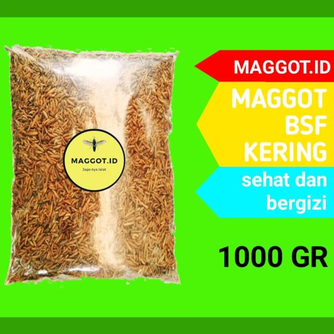 Jual Best Sales Maggot Bsf Magot Kering Premium Magot Oven Pakan Ikan Koi Burung Kg Terbaik