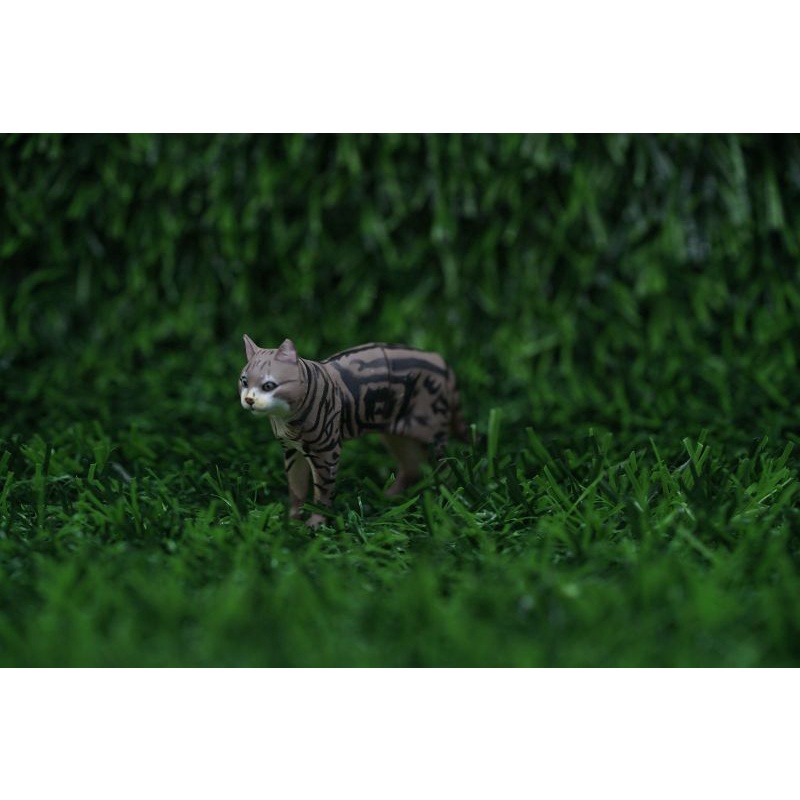 Jual Cat Kucing Belang Lucu Mini Figure Kecil Mainan Pajangan Gashapon ...