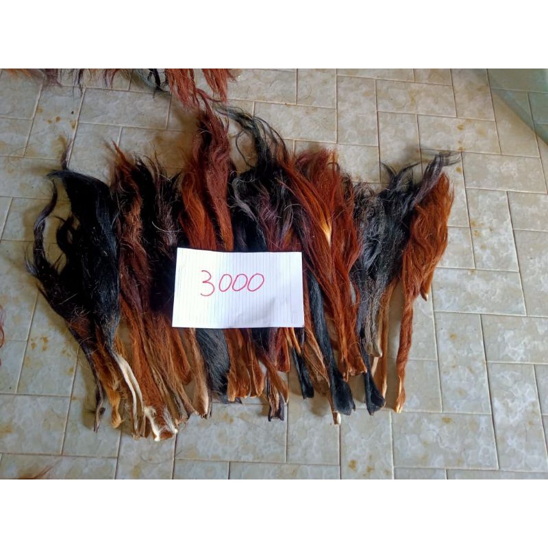 Jual BACA DESKRIPSI Rambut Ekor/Gubat/Buntut Sapi Alitan (paling kecil ...