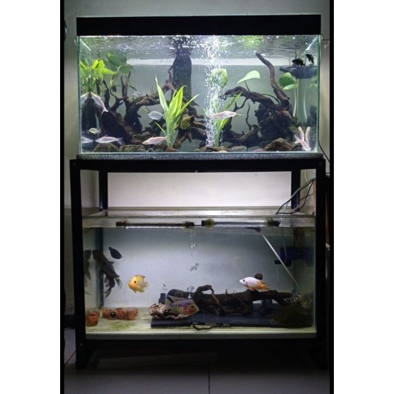 Jual Rak Aquarium Terlengkap & Harga Terbaru Agustus 2023 | Shopee Indonesia