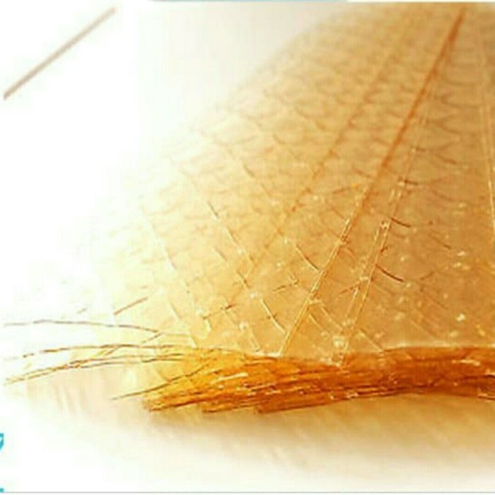 Jual Gelatine Sheet 250Gram / Gelatin Lembaran Halal (Isi 75 Lembar