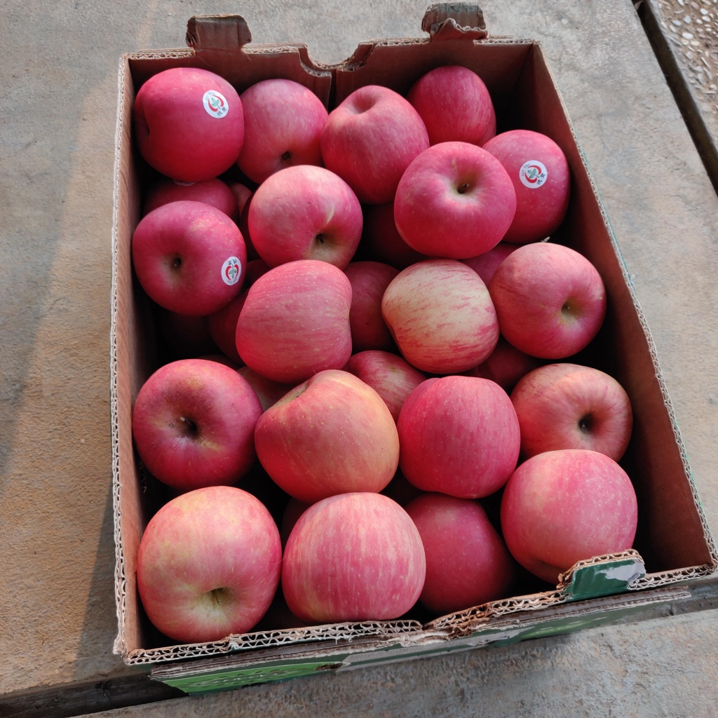 Jual Apple / Buah Apel Fuji RRC Import Manis Garing 1kg | Shopee Indonesia