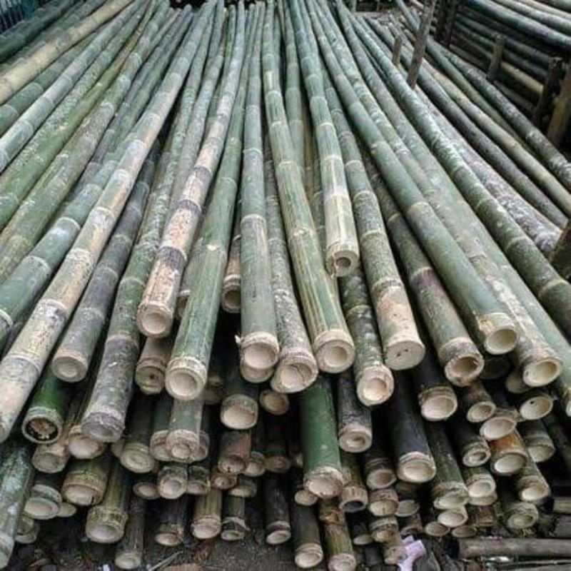 Jual Bambu Bilah Ajir Turus Pring Penyanggah Tiang Kebun Tanaman Rambat ...